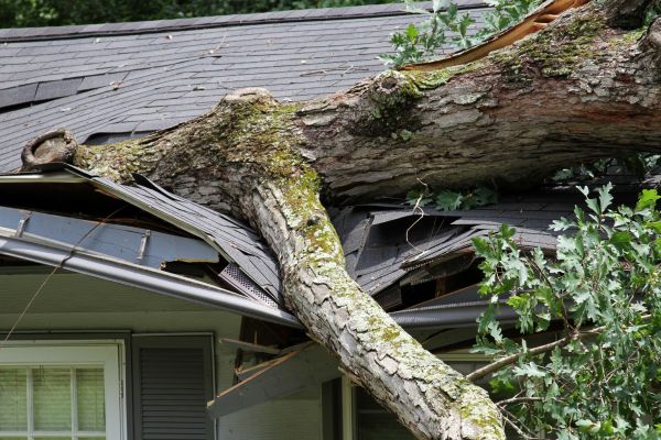 Storm Remediation in Fort Pierce