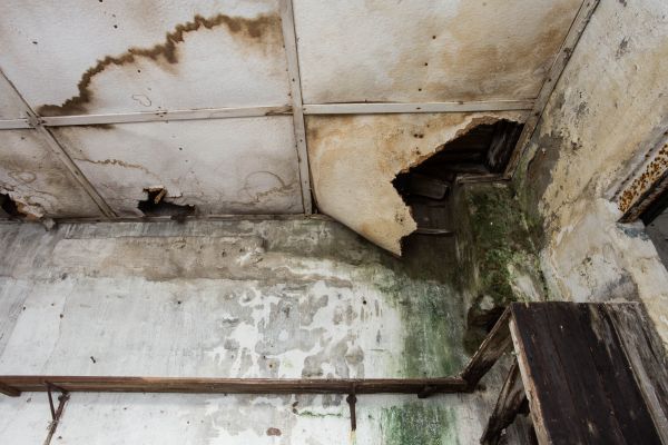 Water Damage Service in Fort Pierce