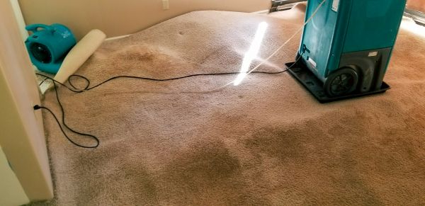Flood Damage Cleanup in Fort Pierce