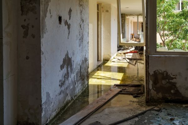 Water Removal Service in Fort Pierce