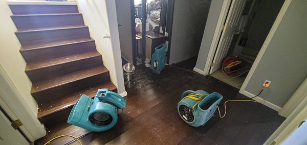 Water Damage Remediation in Fort Pierce
